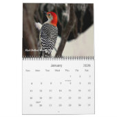 Calendrier Les oiseaux dans votre Jardin photographique (Jan 2026)