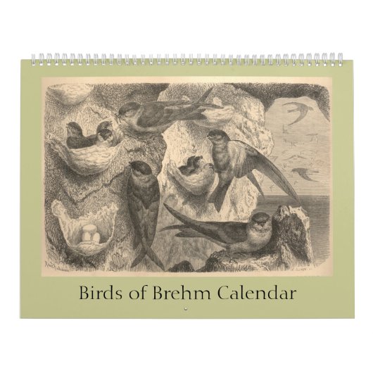 Calendrier Les oiseaux de Brehm (Protection)