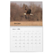 Calendrier Les oiseaux de Forsythe II (Mar 2026)