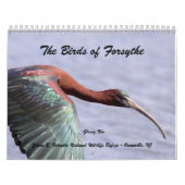 Calendrier Les oiseaux de Forsythe II (Protection)