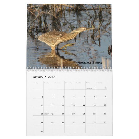 Calendrier Les oiseaux de Forsythe II (Jan 2027)