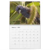Calendrier Les oiseaux de Forsythe II (Feb 2027)