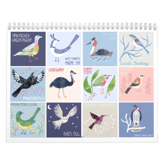 Calendrier Les oiseaux du monde entier (Protection)