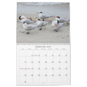 Calendrier Les oiseaux marins de la Floride 2012 (Feb 2027)