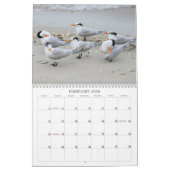Calendrier Les oiseaux marins de la Floride 2012 (Feb 2026)