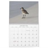 Calendrier Les oiseaux marins de la Floride 2012 (Jan 2026)