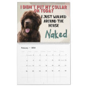 Calendrier Les pensées hilarantes de My Newfoundland (Feb 2026)