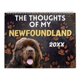 Calendrier Les pensées hilarantes de My Newfoundland