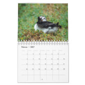 Calendrier Les Petits Oiseaux (Feb 2027)