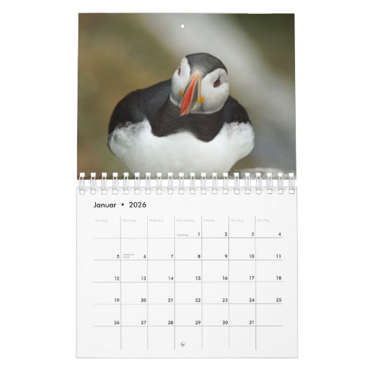 Calendrier Les Petits Oiseaux (Jan 2026)