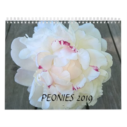 Calendrier Les pivoines classent 2019 (Protection)