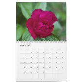 Calendrier Les pivoines du jardin (Mar 2027)