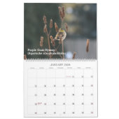 Calendrier Les Plantes autochtones au fil des saisons (Jan 2026)