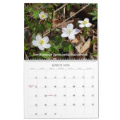 Calendrier Les Plantes autochtones au fil des saisons (Mar 2026)