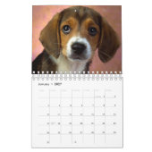 Calendrier Les plus beaux chiots du monde (Jan 2027)