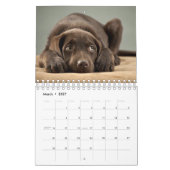 Calendrier Les plus beaux chiots du monde (Mar 2027)