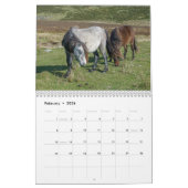 Calendrier Les Ponies Carneddau de Sarah Woodbury (Feb 2026)