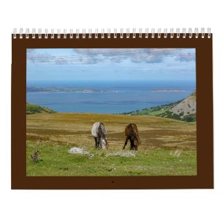 Calendrier Les Ponies Carneddau de Sarah Woodbury