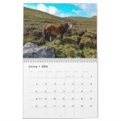 Calendrier Les Ponies Carneddau de Sarah Woodbury (Jan 2026)