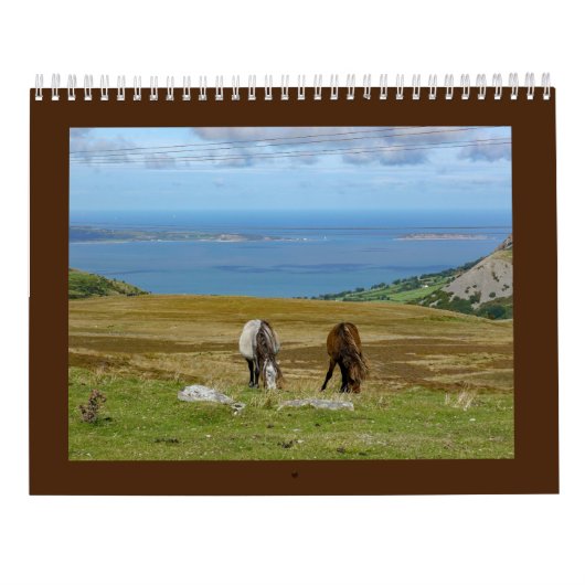 Calendrier Les Ponies Carneddau de Sarah Woodbury (Dos)