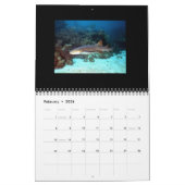 Calendrier Les requins classent 2015 (Feb 2026)