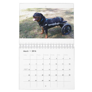 Calendrier Les roues 2016 d'Eddie
