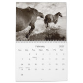 Calendrier Les sauvages (Feb 2027)