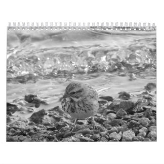 Calendrier L'escroc fotos de pájaros en de Calendario blanco