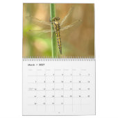 Calendrier Libellule 2027 (Mar 2027)