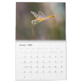 Calendrier Libellule 2027 (Jan 2027)