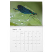 Calendrier Libellule 2027 (Feb 2027)