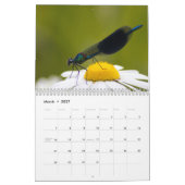 Calendrier Libellule 2027 (Mar 2027)