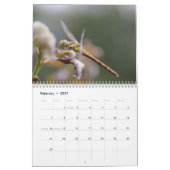 Calendrier Libellule 2027 (Feb 2027)
