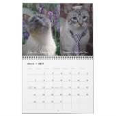 Calendrier L'iCat de 2019 équipes classent pour toujours (Mar 2027)