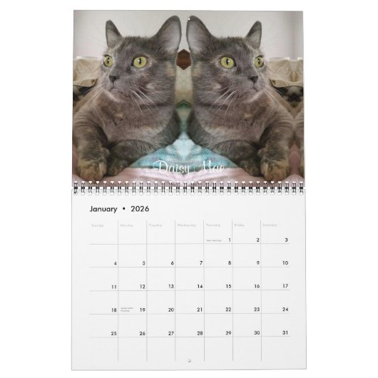 Calendrier L'iCat de 2019 équipes classent pour toujours (Jan 2026)