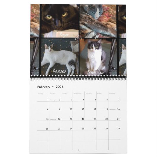 Calendrier L'iCat de 2019 équipes classent pour toujours (Feb 2026)