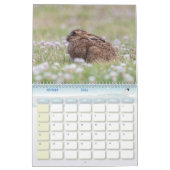 Calendrier Lièvre Lapin, Calendar Rabbit Hares (Feb 2026)