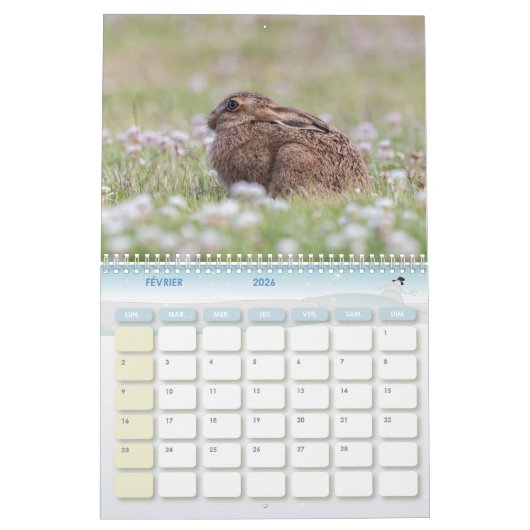 Calendrier Lièvre Lapin, Calendar Rabbit Hares (Feb 2026)