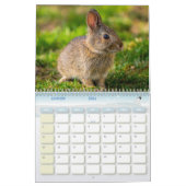 Calendrier Lièvre Lapin, Calendar Rabbit Hares (Jan 2026)