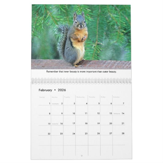 Calendrier Life Lessons from Squiggy the Squirrel Calendar (Feb 2026)
