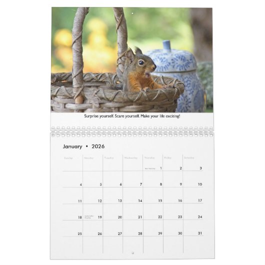 Calendrier Life Lessons from Squiggy the Squirrel Calendar (Jan 2026)