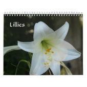 Calendrier Lillies (Protection)