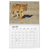 Calendrier Lion (Jan 2027)