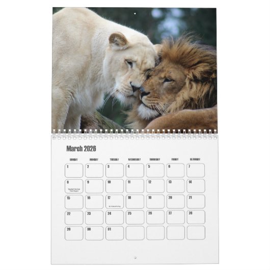 Calendrier Lion (Mar 2026)