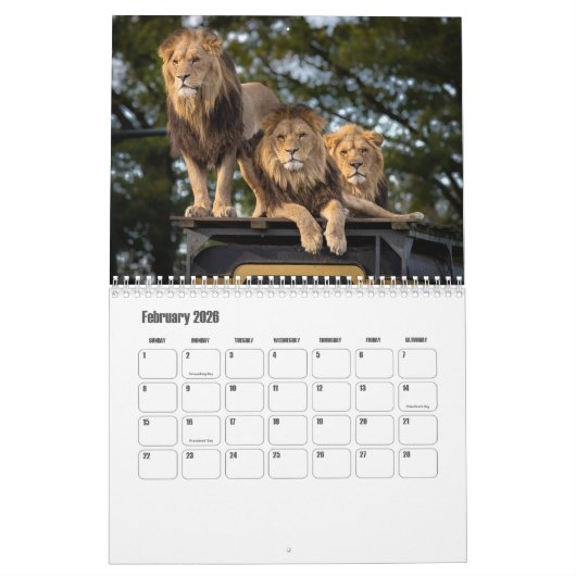 Calendrier Lion (Feb 2026)