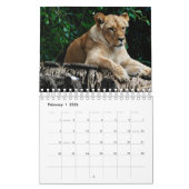 Calendrier Lion (Feb 2026)