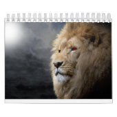 Calendrier Lion (Protection)