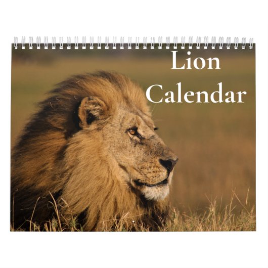 Calendrier Lion 2025 (Protection)