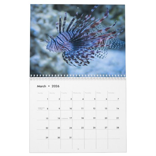 Calendrier Lionfish 2025 (Mar 2026)