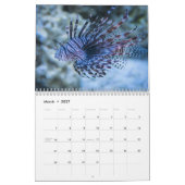 Calendrier Lionfish 2025 (Mar 2027)